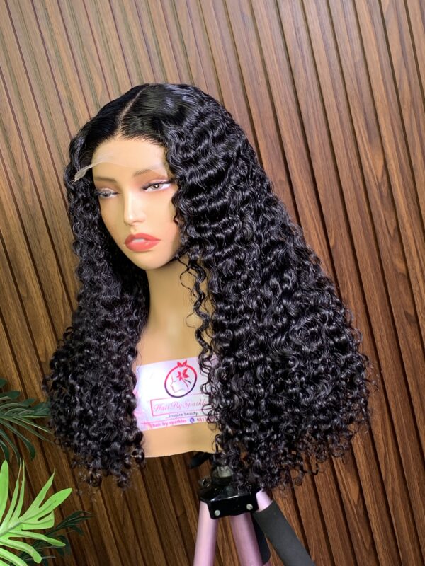 Burmese Curly - Image 2