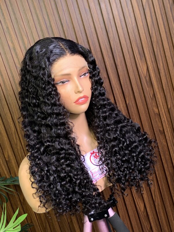 Burmese Curly - Image 3
